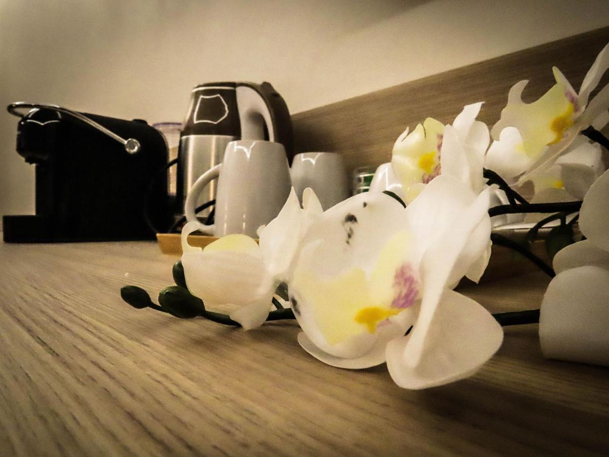 My Maison 70 Guest House Ρώμη Εξωτερικό φωτογραφία
